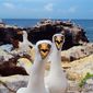 Galapagos: Nature's Wonderland/Galapagos 3D