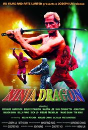Poster Ninja Dragon