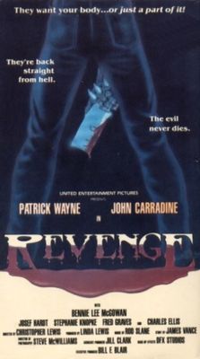 Revenge poster