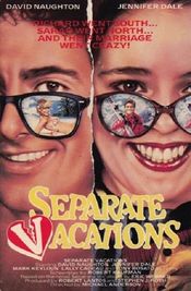 Poster Separate Vacations