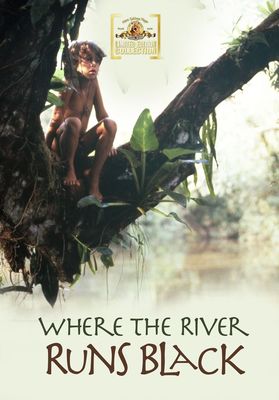 Where the River Runs Black poster