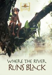 Poster Where the River Runs Black