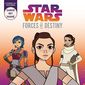 Poster 2 Star Wars: Forces of Destiny