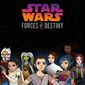 Poster 1 Star Wars: Forces of Destiny