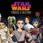 Poster 5 Star Wars: Forces of Destiny