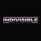 Poster 5 Indivisible