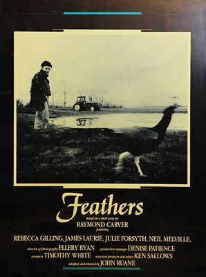 Feathers poster