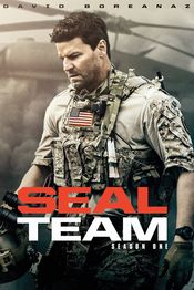 Poster SEAL Team