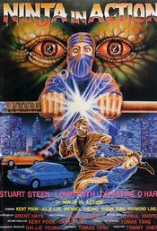 Poster Ninja in Action