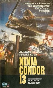 Poster Ninjas, Condors 13