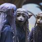 Foto 22 The Dark Crystal: Age of Resistance