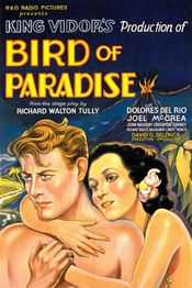 Poster Bird of Paradise