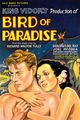 Film - Bird of Paradise