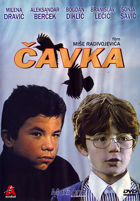 Cavka poster