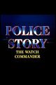 Film - Police Story: The Watch Commander