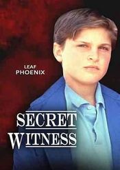 Poster Secret Witness