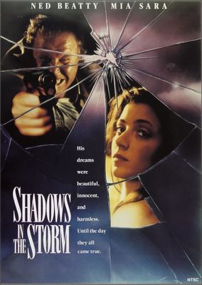 Shadows in the Storm poster