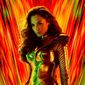 Poster 16 Wonder Woman 1984