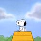 Foto 18 Snoopy: The Musical