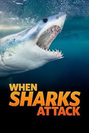 Poster When Sharks Attack