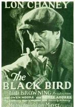 The Blackbird 