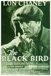 Poster The Blackbird 