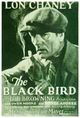 Film - The Blackbird