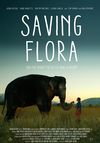 Saving Flora