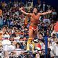 Foto 11 WrestleMania IV