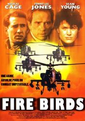 Poster Fire Birds