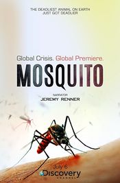 Poster Mosquito