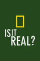 Film - Is It Real?