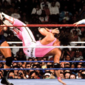 WWE: The History of WrestleMania I-IX/WWE: The History of WrestleMania I-IX 