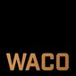 Poster 2 Waco