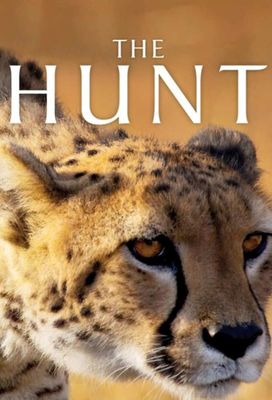 The Hunt poster