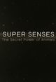 Film - Super Senses: The Secret Power of Animals