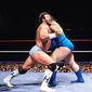 Foto 5 WrestleMania VI