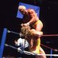 Foto 3 WrestleMania VI