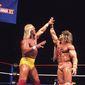 Foto 4 WrestleMania VI