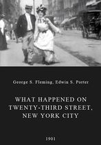 What Happened on Twenty-third Street, New York City