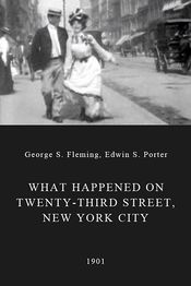 Poster What Happened on Twenty-third Street, New York City