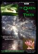 Film - The Queen of Trees