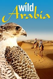 Poster Wild Arabia