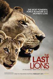 Poster The Last Lions