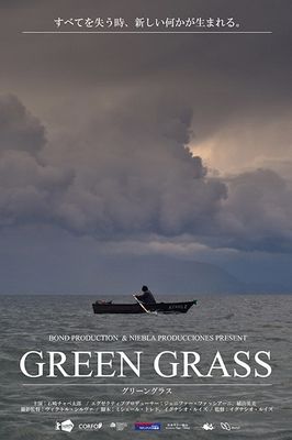 Green Grass poster