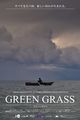 Film - Green Grass