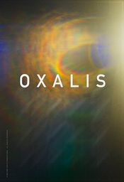 Poster Oxalis