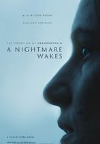 A Nightmare Wakes 