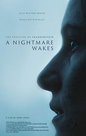 Poster A Nightmare Wakes