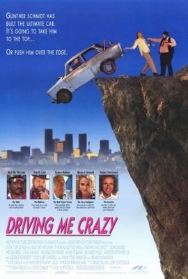 Driving Me Crazy poster